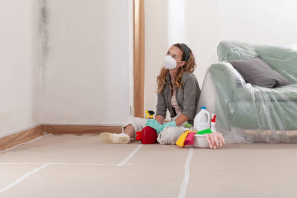 Reliable Commercial Mold Remediation contractor in Cordova, MD by WQB Mold Removal